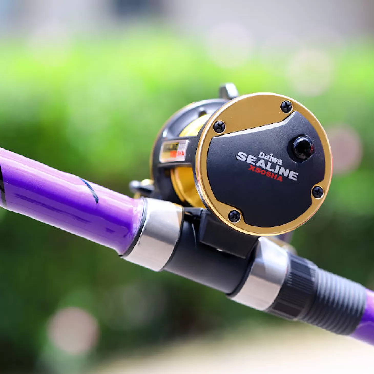 Daiwa Sealine-X SHA