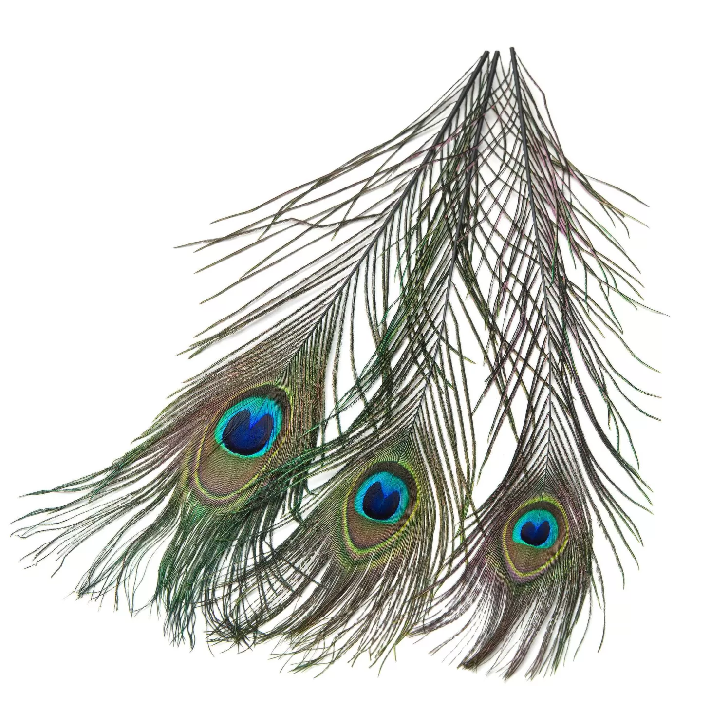 Hareline Peacock Eyed Sticks