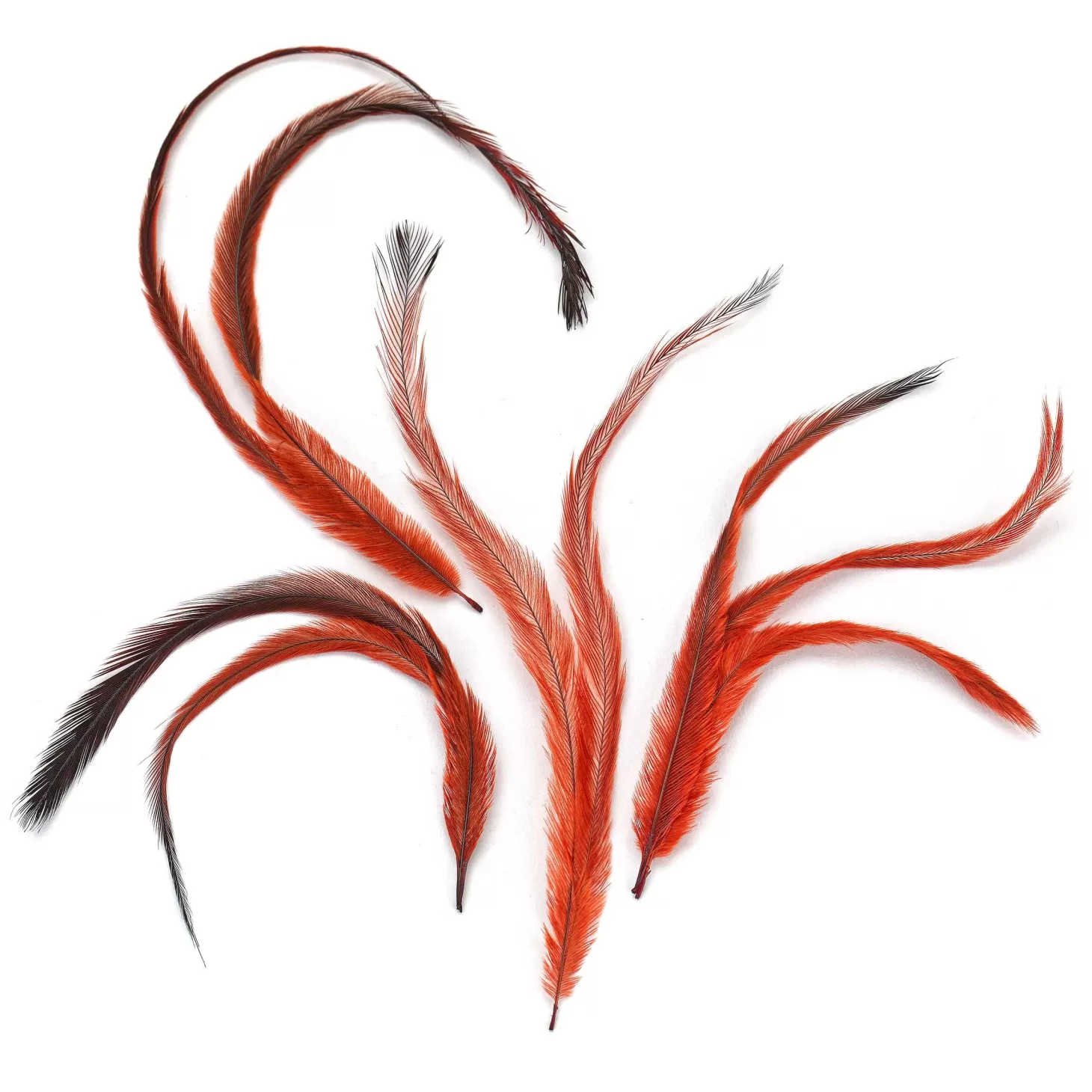 Spirit River UV2 Emu Feathers